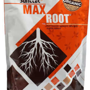 Max Root