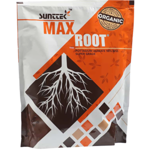 Max Root