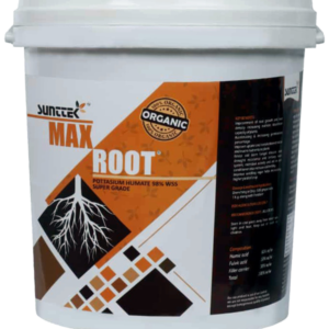 Max Root Bucket