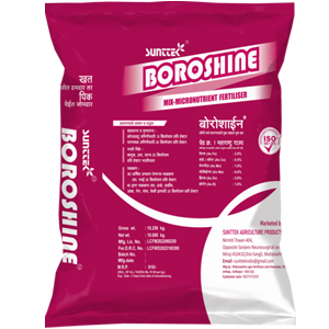 Boroshine