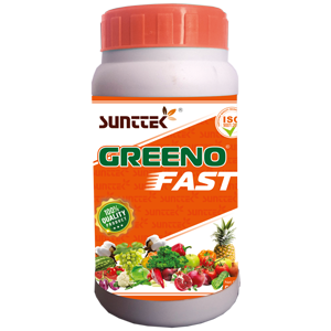 Greeno Fast