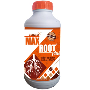 Max Root Plus Liquid